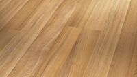 Кедр (Cedar)