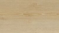 Сибирская лиственница (Siberian larch)