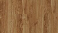 Дуб состаренный (Old Oak)