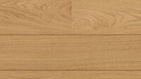Дуб Йоркшир (Oak Yorkshire)