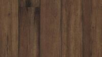 Экзотический клен (Клен экзотический / Exotic maple)