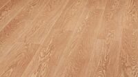 Дуб америка (American Oak)