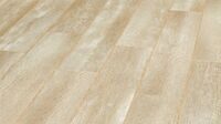 Дуб Нью Ингланд (New England Oak)