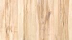 Клен норвежский (Norwegian maple)