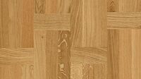 Дуб Палаццо Ровере (Oak Palazzo Rovere)