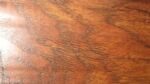 Тик колониальный (Teak Colonial)