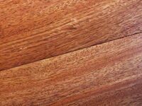 Ятоба (Jatoba)